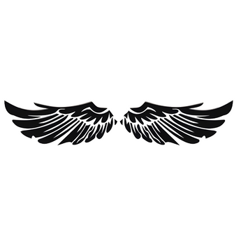 Fluegel Autoaufkleber | 15 × 6cm Phoenix