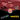 Sticker Bundle - Auduro.ch