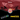 Sticker Bundle - Auduro.ch
