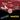 Sticker Bundle - Auduro.ch